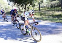 Cyclisme : grosse frayeur pour Alaphilippe au Tour de la Provence (détail) Cyclisme : grosse frayeur pour Alaphilippe au Tour de la Provence (détail)