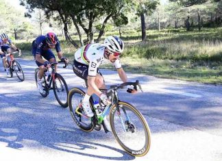 Cyclisme : grosse frayeur pour Alaphilippe au Tour de la Provence (détail) Cyclisme : grosse frayeur pour Alaphilippe au Tour de la Provence (détail)