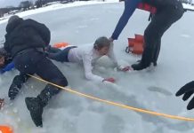 Des policiers sauvent une femme et son chien tombés dans l’eau glaciale d’un fleuve (Video) Des policiers sauvent une femme et son chien tombés dans l'eau glaciale d'un fleuve (Video)