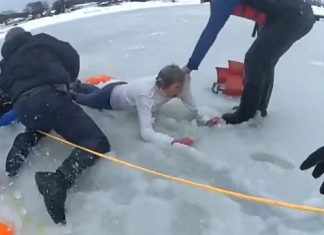 Des policiers sauvent une femme et son chien tombés dans l’eau glaciale d’un fleuve (Video) Des policiers sauvent une femme et son chien tombés dans l'eau glaciale d'un fleuve (Video)