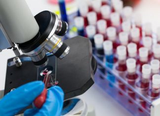 Direct – Chiffres Covid : Bilan en France, Jeudi 11 Février 2021 Direct – Chiffres Covid : Bilan en France, Jeudi 11 Février 2021