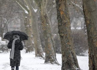 Froid, neige, crues: 28 départements placés en vigilance orange (détail) Froid, neige, crues: 28 départements placés en vigilance orange (détail)