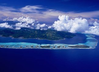 Il tombe d’un cargo et d’un survit 16 heures en plein océan Pacifique (détail) Il tombe d'un cargo et d'un survit 16 heures en plein océan Pacifique (détail)