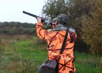 Indre-et-Loire : la décision qui va rendre fous les anti-chasse (détail) Indre-et-Loire : la décision qui va rendre fous les anti-chasse (détail)