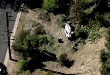 Les images terrifiantes de l’accident de voiture de Tiger Woods (PHOTO) Les images terrifiantes de l’accident de voiture de Tiger Woods (PHOTO)
