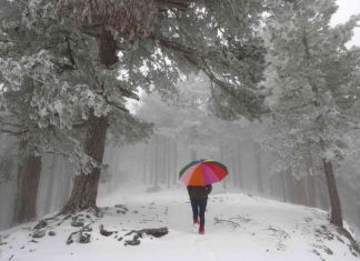 Météo : Une vague de froid intense s’abat sur la moitié nord de la France (détail) Météo : Une vague de froid intense s’abat sur la moitié nord de la France (détail)