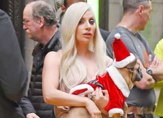 Scène d’horreur pour Lady Gaga : son dog-sitter blessé par balles en pleine rue, deux bouledogues volés Scène d'horreur pour Lady Gaga : son dog-sitter blessé par balles en pleine rue, deux bouledogues volés
