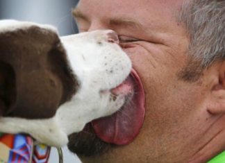 Un homme décède après avoir été léché par son chien (détail) Un homme décède après avoir été léché par son chien (détail)