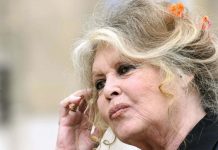 Brigitte Bardot « terriblement seule », elle lance un cri du coeur (Vidéo) Brigitte Bardot "terriblement seule", elle lance un cri du coeur (Vidéo)