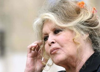 Brigitte Bardot « terriblement seule », elle lance un cri du coeur (Vidéo) Brigitte Bardot "terriblement seule", elle lance un cri du coeur (Vidéo)