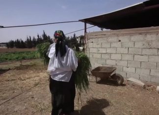 Six membres d’une famille massacrés lors d’un anniversaire dans le Colorado (détail) Six membres d'une famille massacrés lors d'un anniversaire dans le Colorado (détail)