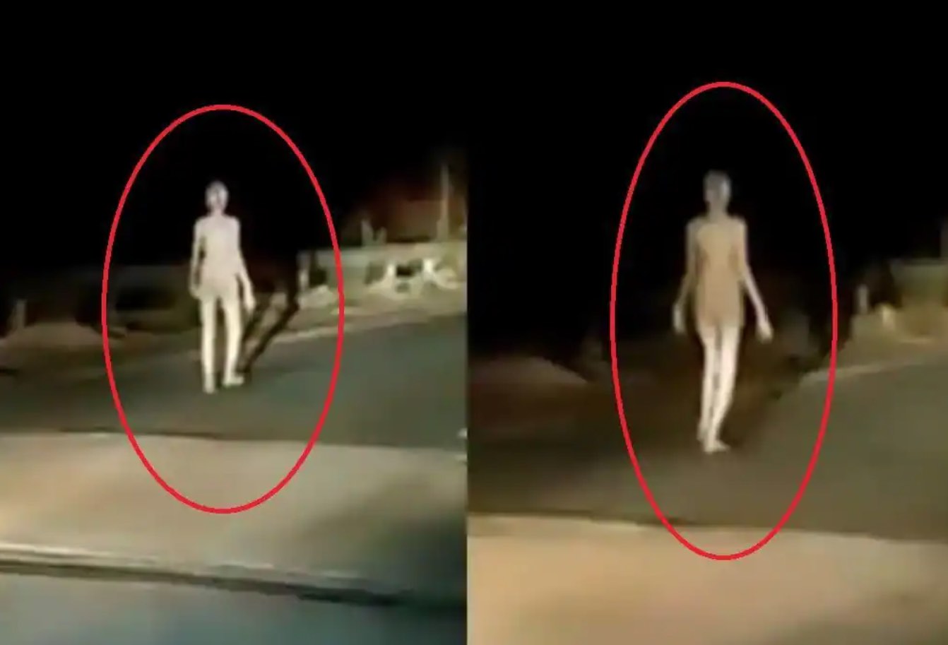 Une créature bizarre ressemblant à un extraterrestre filmée en Inde (VIDEO)