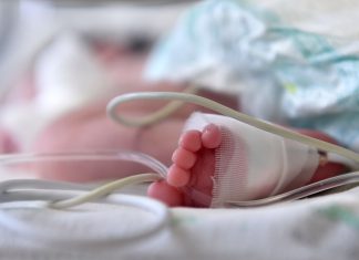Selon une étude la voix maternelle réduit la douleur des bébés prématurés Selon une étude la voix maternelle réduit la douleur des bébés prématurés