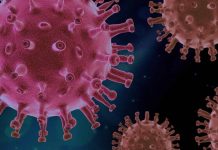 Coronavirus : un nouveau variant baptisé « Mu » surveillé par l’OMS Coronavirus : un nouveau variant baptisé "Mu" surveillé par l'OMS