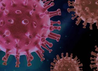 Coronavirus : un nouveau variant baptisé « Mu » surveillé par l’OMS Coronavirus : un nouveau variant baptisé "Mu" surveillé par l'OMS