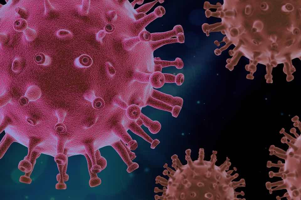 Coronavirus : un nouveau variant baptisé 