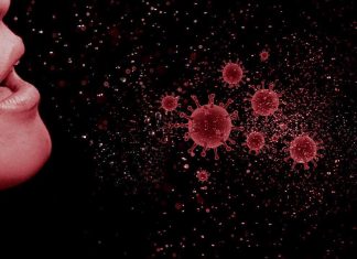 Inde – Un enfant de 12 ans est décédé des suites du virus Nipah : faut-il vraiment s’inquiéter ? Inde - Un enfant de 12 ans est décédé des suites du virus Nipah : faut-il vraiment s’inquiéter ?