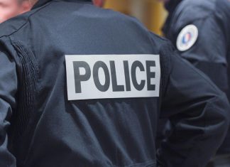 Essonne : Une adolescente, mordue par ses propres chiens entre la vie et la mort Essonne : Une adolescente, mordue par ses propres chiens entre la vie et la mort