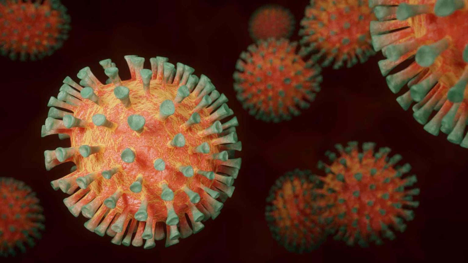 Coronavirus Ce Que Lon Sait Du G Nome Du Variant Xd Femmes News