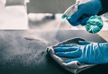 Étude : Un gradateur pour la croissance des cellules cérébrales humaines Étude : Un gradateur pour la croissance des cellules cérébrales humaines