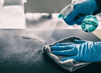 Étude : Un gradateur pour la croissance des cellules cérébrales humaines Étude : Un gradateur pour la croissance des cellules cérébrales humaines