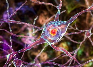 Nouvelles découvertes sur la maladie de Huntington Nouvelles découvertes sur la maladie de Huntington