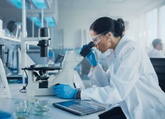 Des chercheurs belges créent un nouveau type de cellule humaine Des chercheurs belges créent un nouveau type de cellule humaine