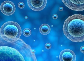 Une nouvelle méthode révolutionnaire pour observer le transport cellulaire Une nouvelle méthode révolutionnaire pour observer le transport cellulaire