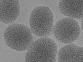 Une nouvelle nanoparticule entièrement biodégradable