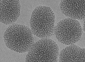Une nouvelle nanoparticule entièrement biodégradable Une nouvelle nanoparticule entièrement biodégradable
