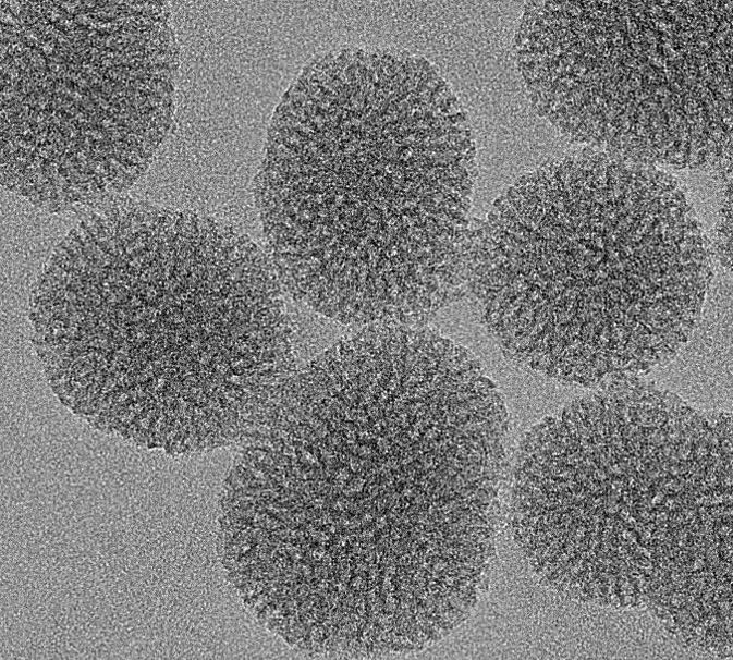 Une nouvelle nanoparticule entièrement biodégradable