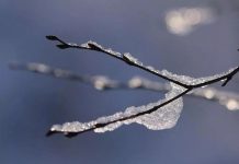 Météo: Les Landes toujours en alerte “crues” Météo: Les Landes toujours en alerte “crues”