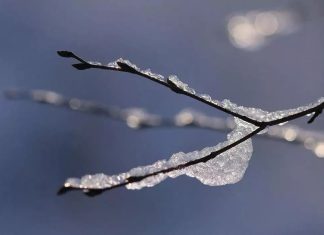 Météo: Les Landes toujours en alerte “crues” Météo: Les Landes toujours en alerte “crues”