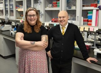 Santé: Un probiotique protecteur pour la SLA Santé: Un probiotique protecteur pour la SLA