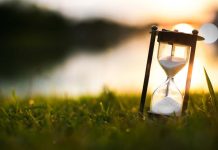 Les chercheurs trouvent une nouvelle clé pour retracer l’évolution de la vie Les chercheurs trouvent une nouvelle clé pour retracer l'évolution de la vie