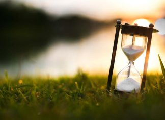 Les chercheurs trouvent une nouvelle clé pour retracer l’évolution de la vie Les chercheurs trouvent une nouvelle clé pour retracer l'évolution de la vie