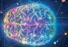 « Au coeur de notre cerveau : décrypter le fonctionnement de la boussole interne "Au coeur de notre cerveau : décrypter le fonctionnement de la boussole interne