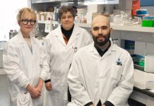 Le microbiote intestinal : un acteur clé dans la guérison de la chirurgie du cancer colorectal Le microbiote intestinal : un acteur clé dans la guérison de la chirurgie du cancer colorectal
