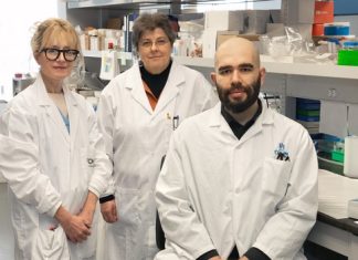 Le microbiote intestinal : un acteur clé dans la guérison de la chirurgie du cancer colorectal Le microbiote intestinal : un acteur clé dans la guérison de la chirurgie du cancer colorectal