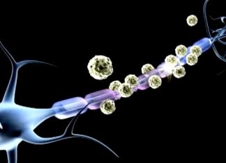 Débiopharm lance un essai combiné de phase I/II sur un inhibiteur sélectif de WEE1 à pénétration cérébrale Débiopharm lance un essai combiné de phase I/II sur un inhibiteur sélectif de WEE1 à pénétration cérébrale