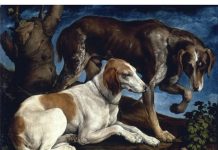 Créer un Portrait de Chien en Style Impressionniste : Un Voyage dans l’Audace Artistique Créez un portrait d’un chien dans un style peint impressionniste audacieux
