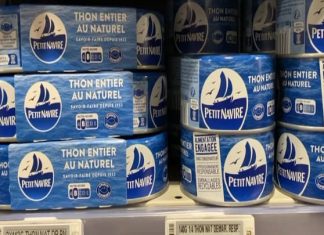 Alerte : Mercure dans le Thon en Boîte en Europe "Un poison extrêmement dangereux": une ONG alerte sur le thon dans nos assiettes