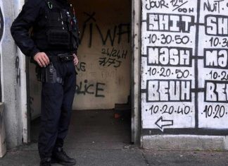 DZ Mafia se défend dans une vidéo et défie les autorités DZ Mafia se défend dans une vidéo et défie les autorités