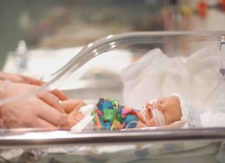 Enlèvement de Santiago : les parents en fuite risquent des peines lourdes Enlèvement de Santiago: que risquent les parents du nourrisson?