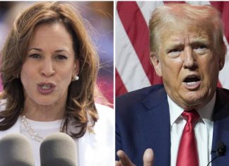 Les Dernières Informations sur l’Élection Américaine 2024 : Harris et Trump dans une Course Indécise Les Dernières Informations sur l'Élection Américaine 2024 : Harris et Trump dans une Course Indécise