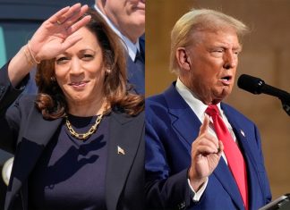 Sondages serrés : Kamala Harris face à Donald Trump à deux semaines des élections Sondages serrés : Kamala Harris face à Donald Trump à deux semaines des élections