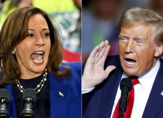 Dernier sondage USA 2024 : Kamala Harris en tête à l’approche des élections américaines Dernier sondage USA 2024 : Kamala Harris en tête à l'approche des élections américaines