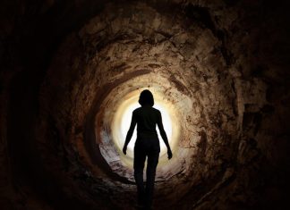 La “troisième voie” : quand les cellules continuent de vivre après la mort Des scientifiques confirment un « troisième état » entre la vie et la mort