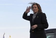 Élection américaine : heure des premiers résultats et déroulement des étapes Election américaine 2024: à quelle heure les résultats seront-ils connus?