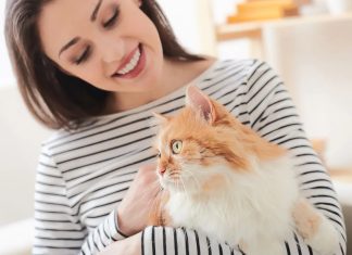 Quelle est l’espérance de vie réelle d’un chat domestique ? Quelle est l’espérance de vie réelle d’un chat domestique ?